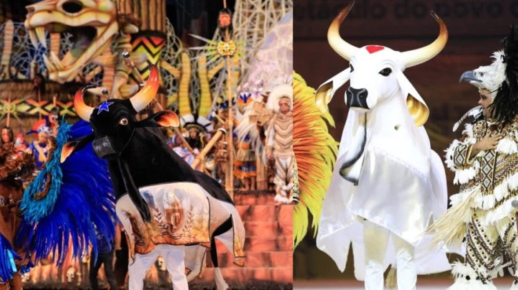 Contagem regressiva: 100 dias para o 57º Festival de Parintins