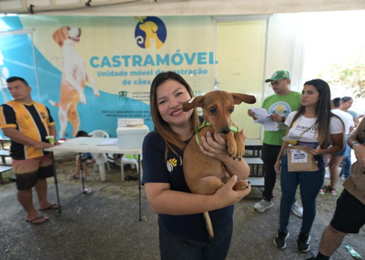Foto: Divulgação