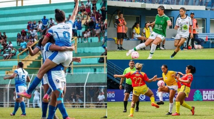 Fotos: Divulgação FAF