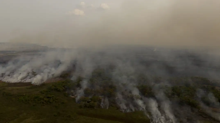 PL que muda Código Florestal vai desproteger 48 milhões de hectares